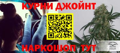гашик Будённовск