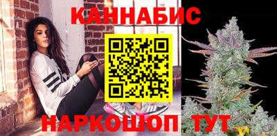 гашик Будённовск