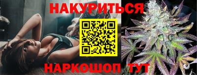 гашик Будённовск