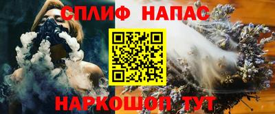 гашик Будённовск