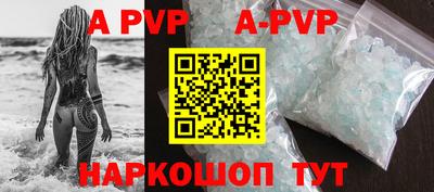 гашик Будённовск