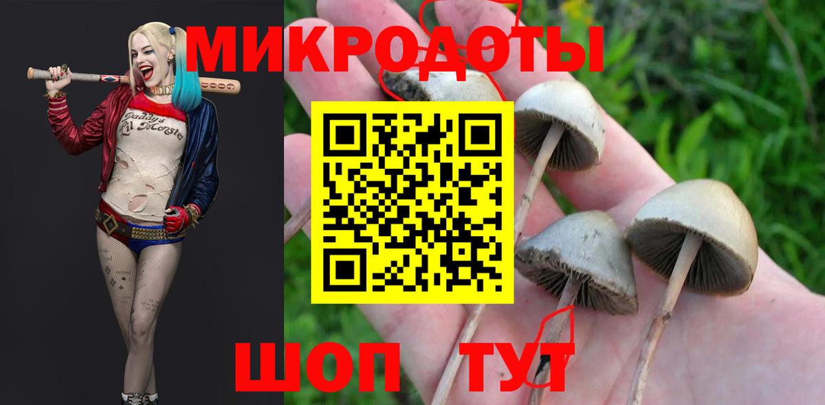 Галлюциногенные грибы Cubensis  Псилоцибиновые грибы MAGIC MUSHROOMS  Вход с VPN  Морозовск 